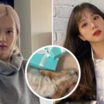 Jisoo y Rosé de BLACKPINK sorprenden con regalos de sus marcas de lujo, pero el regalo de Hank fue el más impactante