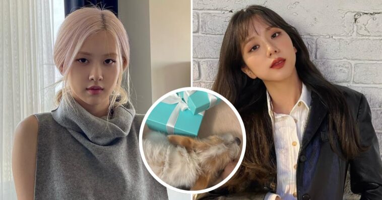 Jisoo y Rosé de BLACKPINK sorprenden con regalos de sus marcas de lujo, pero el regalo de Hank fue el más impactante