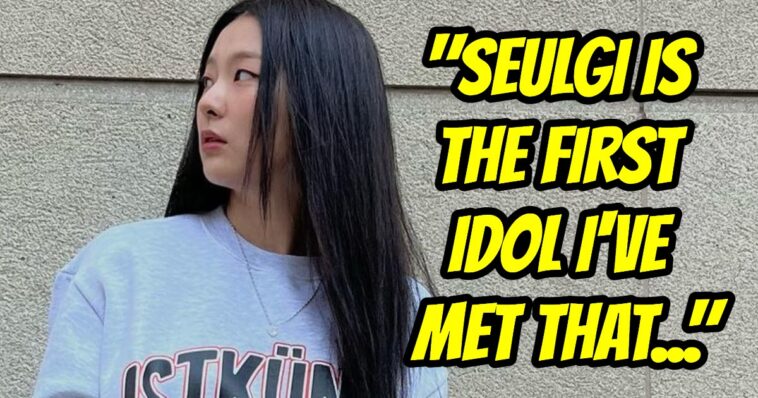 La verdadera personalidad de Red Velvet Seulgi, según un afortunado fan que la conoció