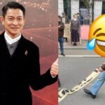 Los internautas se preguntan sobre la altura real de Andy Lau después de ver esta divertida foto