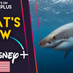 Novedades en Disney+ |  United Sharks of America (EE. UU.)