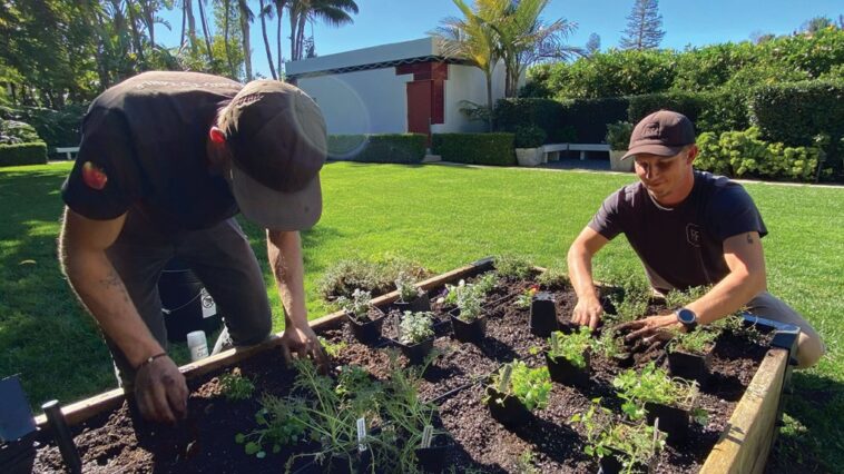 Conozca al horticultor de la lista A de Hollywood