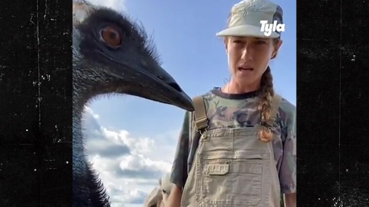 Emmanuel el emú enfermo después de que los gansos salvajes y la gripe aviar atacaran una granja en Florida