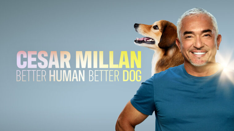 La temporada 2 de “Cesar Millán: Better Human, Better Dog” llegará pronto a Disney+ (EE. UU.)