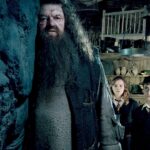 Las estrellas de Harry Potter reaccionan ante la muerte del actor de Hagrid, Robbie Coltrane: de Daniel Radcliffe a Emma Watson