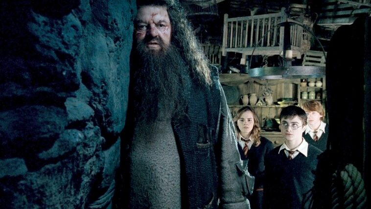 Las estrellas de Harry Potter reaccionan ante la muerte del actor de Hagrid, Robbie Coltrane: de Daniel Radcliffe a Emma Watson