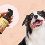 Pet Owners Say This $14 Time-Saving, Rinseless Shampoo Is ‘Super Convenient’ For Apartment Living