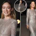 Olivia Wilde libera el pezón con un vestido transparente en la Gala del Museo de la Academia