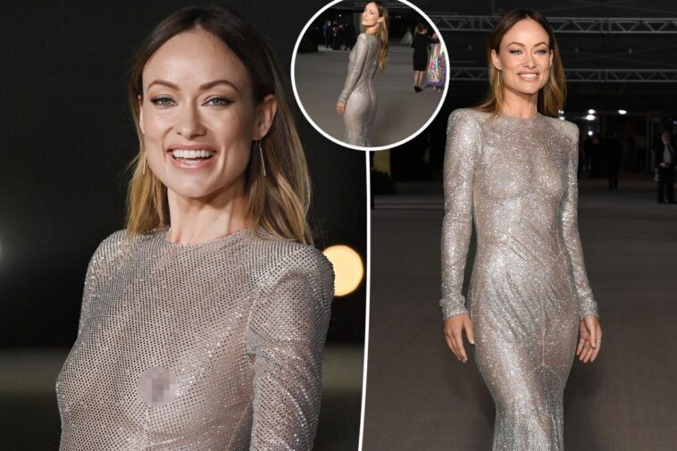 Olivia Wilde libera el pezón con un vestido transparente en la Gala del Museo de la Academia