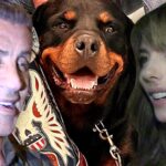 Sylvester Stallone y Jennifer Flavin se quedan con un rottweiler