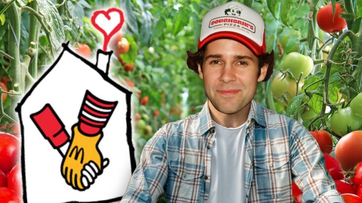 david dobrik dona tomates del lanzamiento de pizza party a la casa ronald mcdonald