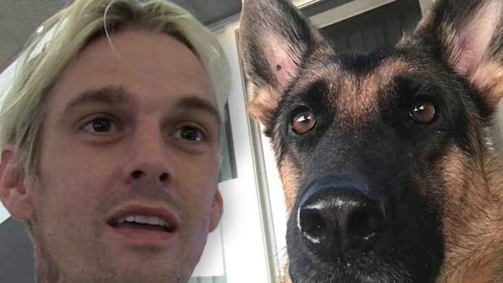 el perro de aaron carter