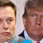 Elon Musk pide a los usuarios de Twitter que voten