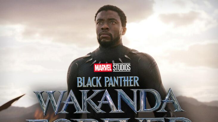 La secuela de Black Panther deja a los fanaticos divididos
