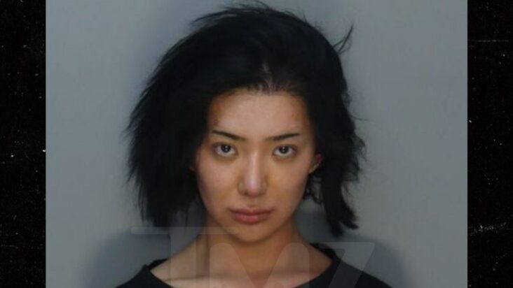 nikita dragun arrestada por delito grave en miami