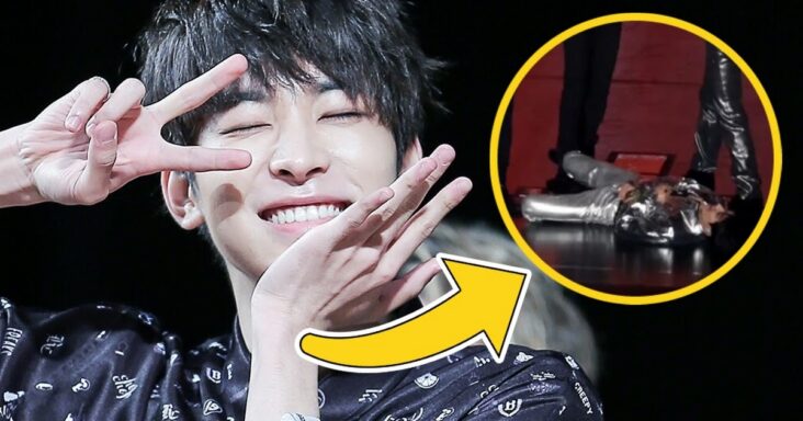 wonwoo de seventeen colapsa en el escenario después de mortificarse con aegyo