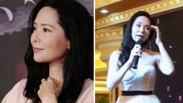 los internautas se burlan del canto de sonija kwok en un concierto reciente