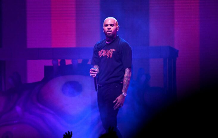 el vendedor de monos de chris brown tiene su licencia revocada después de la carta de peta