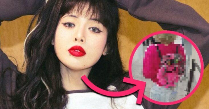 internautas decepcionados con hyuna por su uso de un polémico bolso de diseñador