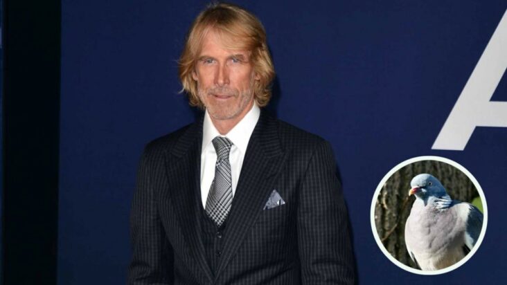 michael bay acusado de matar a una paloma en el set de netflix movie 6 underground de 2019 mientras filmaba en italia