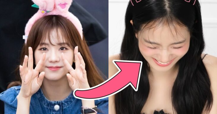 «plot twist»: jisoo de blackpink elige un nuevo animal representativo y los fanáticos sospechan por qué