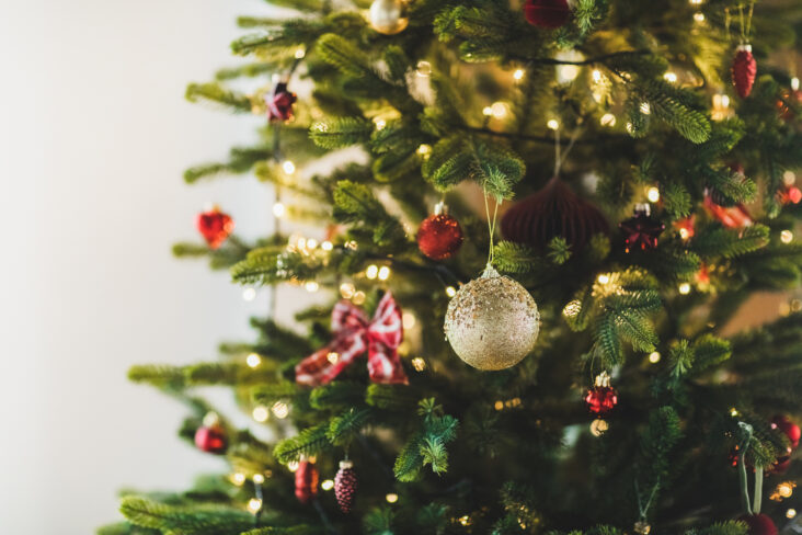 ¿cuándo se debe derribar el árbol de navidad? esta es la razón por la que dejo el mío hasta febrero