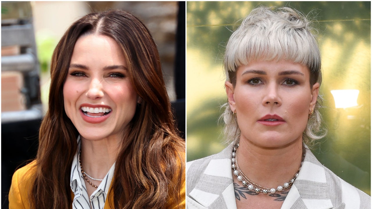 Cronología completa de la relación de Sophia Bush y Ashlyn Harris -  Noticias y chismes de la farándula mundial